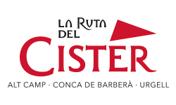 logo cister